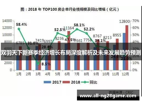 双羽天下新赛季经济增长布局深度解析及未来发展趋势预测