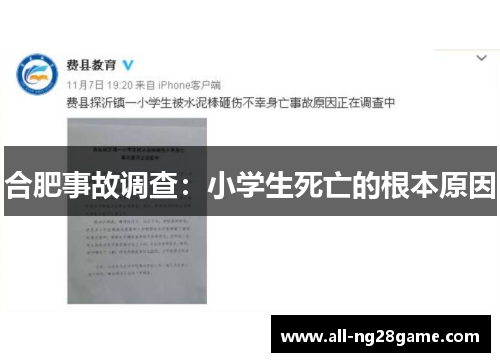 合肥事故调查：小学生死亡的根本原因