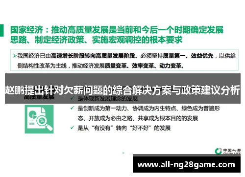 赵鹏提出针对欠薪问题的综合解决方案与政策建议分析
